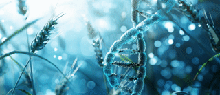 Genomic Selection Course